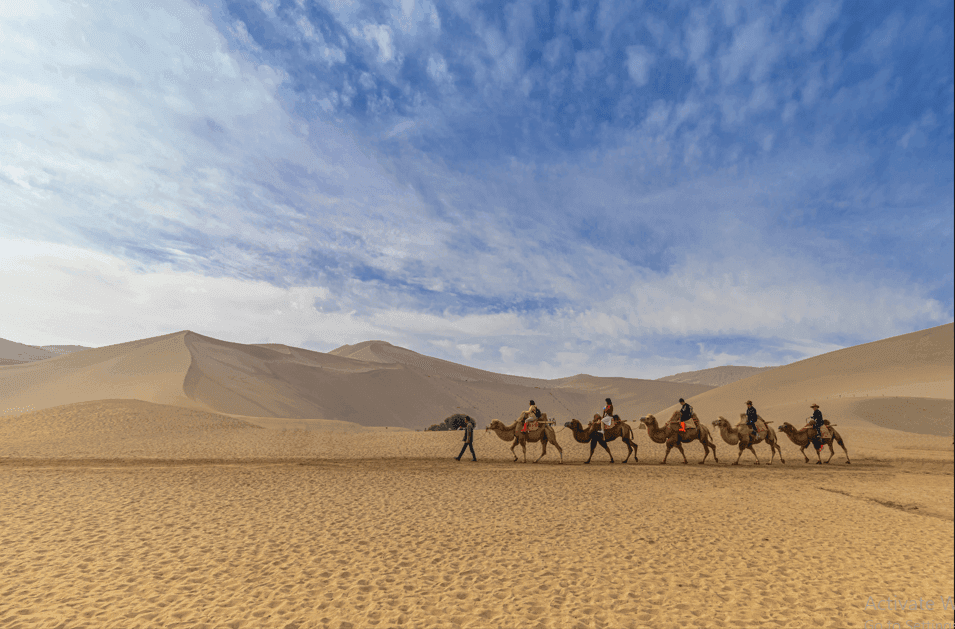 Jaisalmer Desert Safari: Experience the Magic of the Golden City